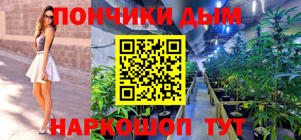 Бошки Шишки тримм Ленинск-Кузнецкий